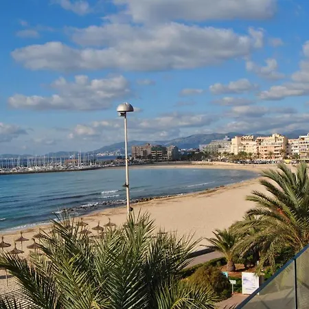 Delfin Playa de Palma (Mallorca)