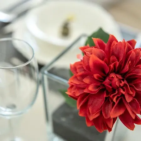 Apartamento Delfin *