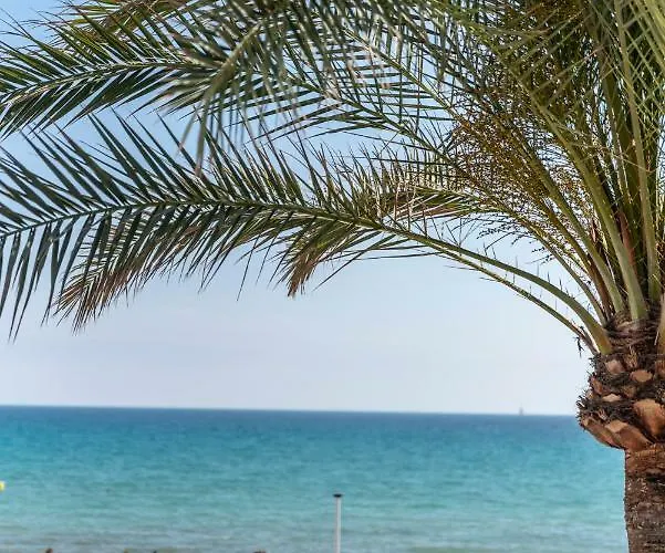 アパルタメンツ デルフィン *