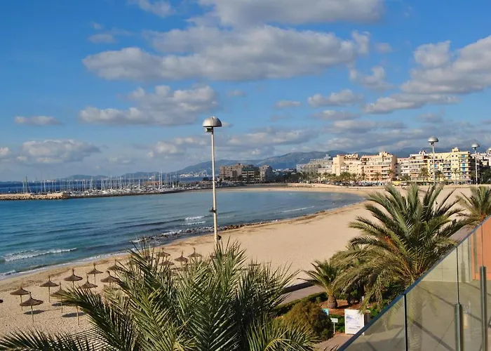 Delfin Playa de Palma (Mallorca)