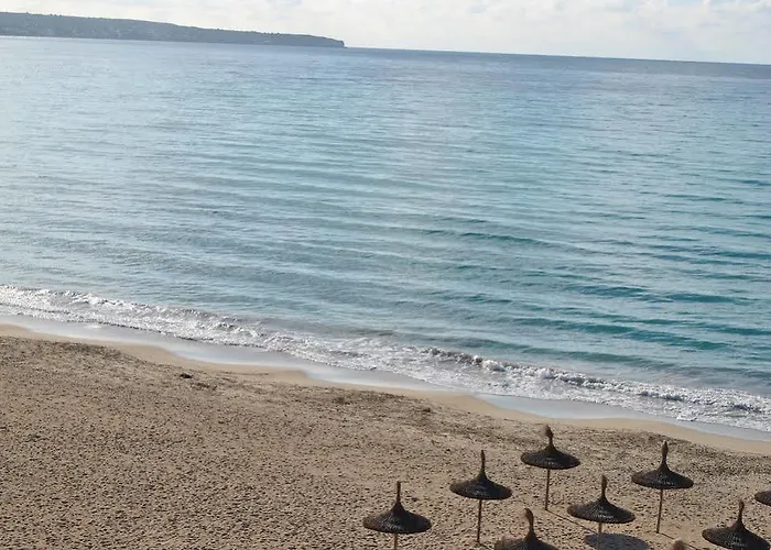 Delfin * Playa de Palma (Mallorca)